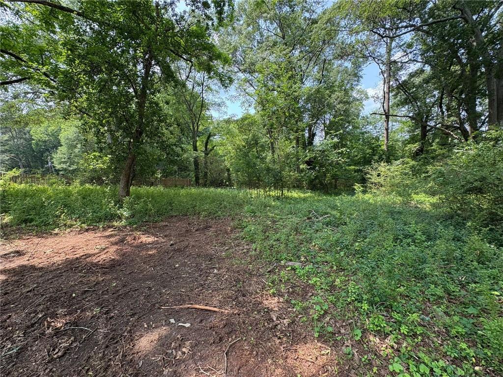 3700 Moore Street Austell, GA 30106 - Photo 4 of 12 a view of a yard with a trees