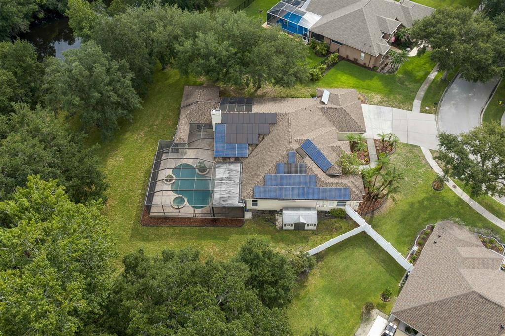 5711 Tanagerside Road Lithia, FL 33547 - Photo 67 of 72