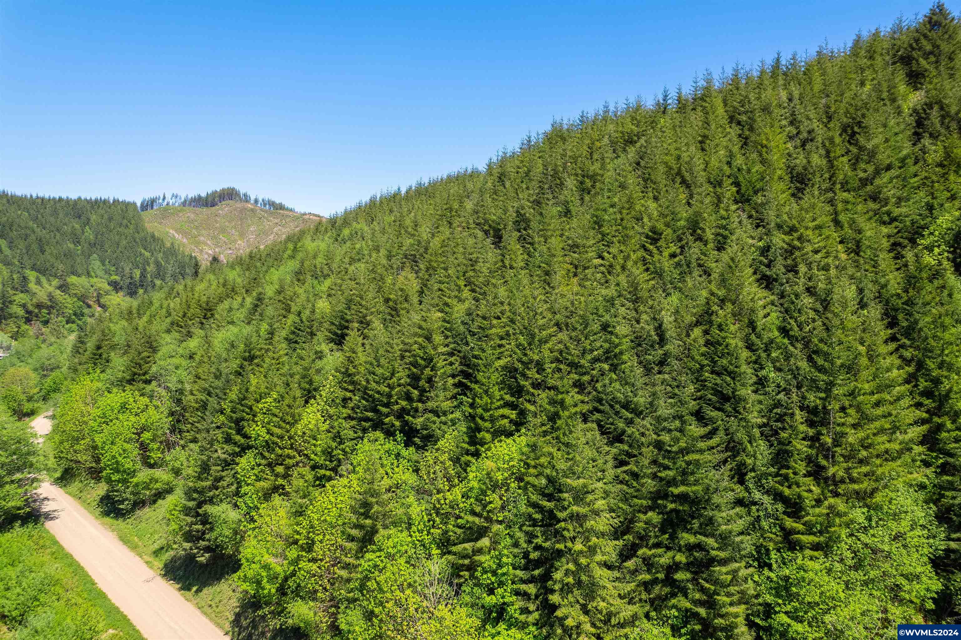 0 Harlan Road Toledo, OR 97391 - Photo 10 of 27