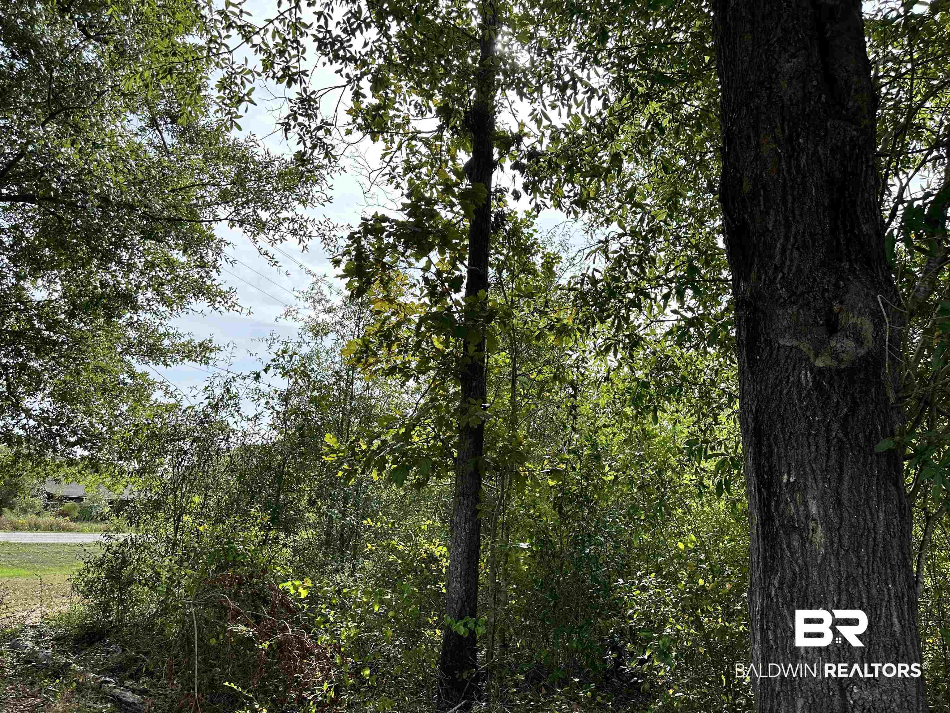 0 Twin Bridges Road Flomaton, AL 36441 - Photo 7 of 7