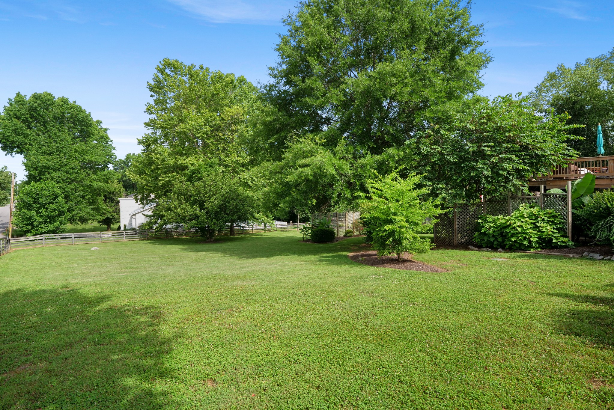832 Rands Way Columbia, TN 38401 - Photo 40 of 49 a view of a trees in a yard