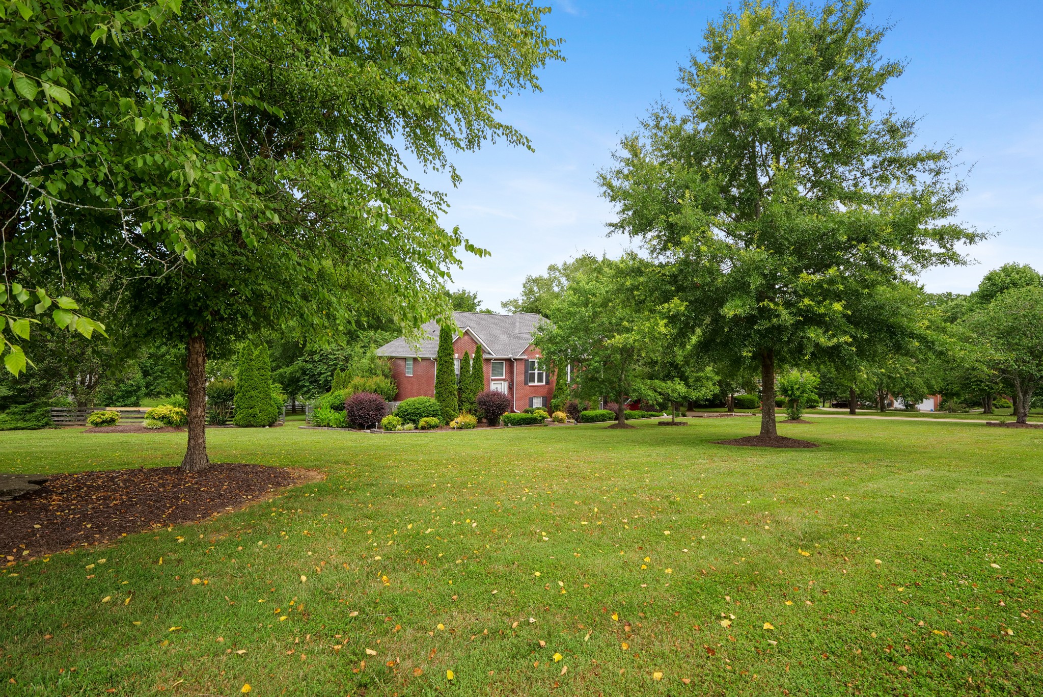 832 Rands Way Columbia, TN 38401 - Photo 5 of 49 a tall tree in middle of the green field