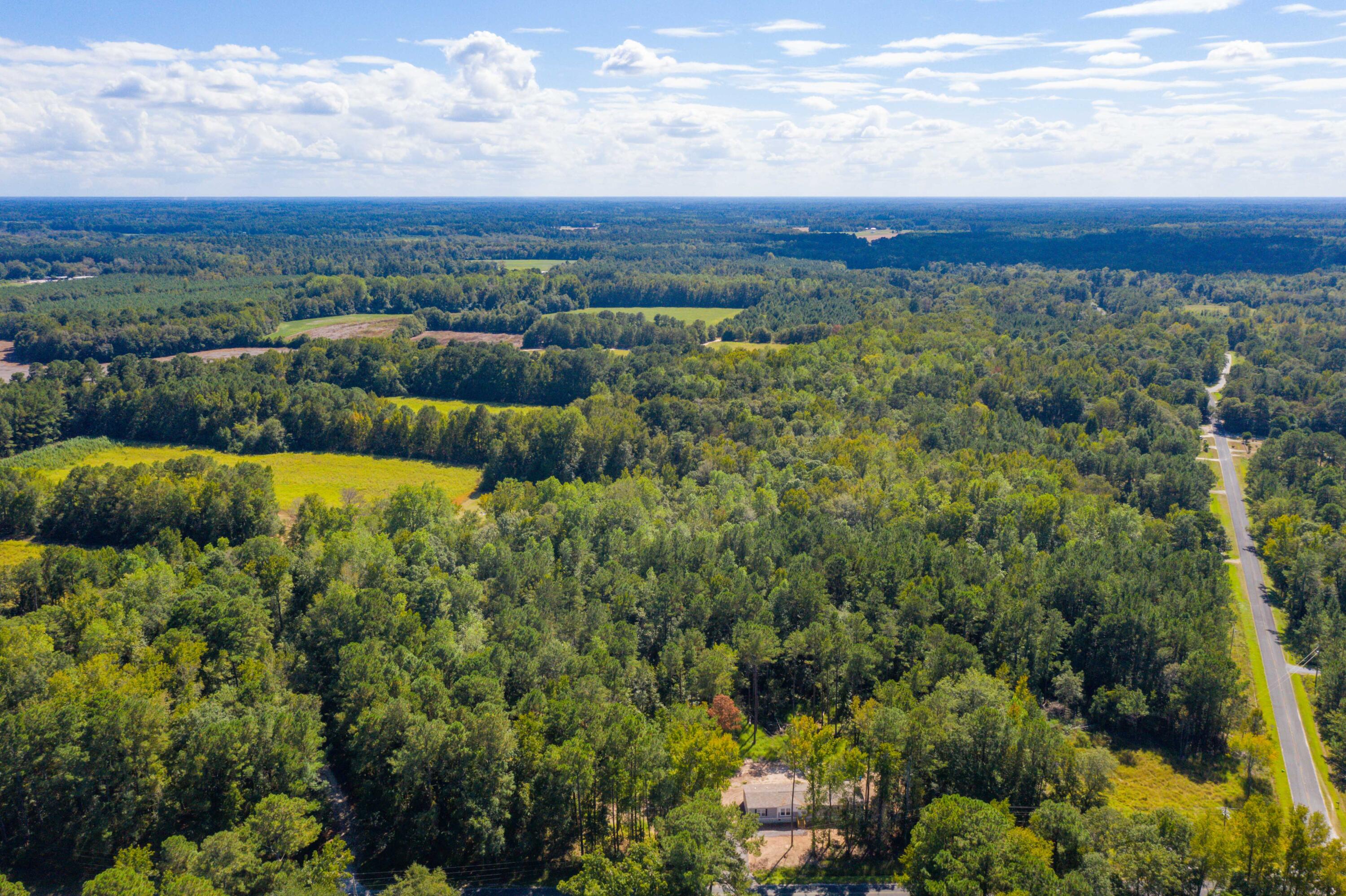 114 Leisure Street Reevesville, SC 29471 - Photo 42 of 58 DJI_0473