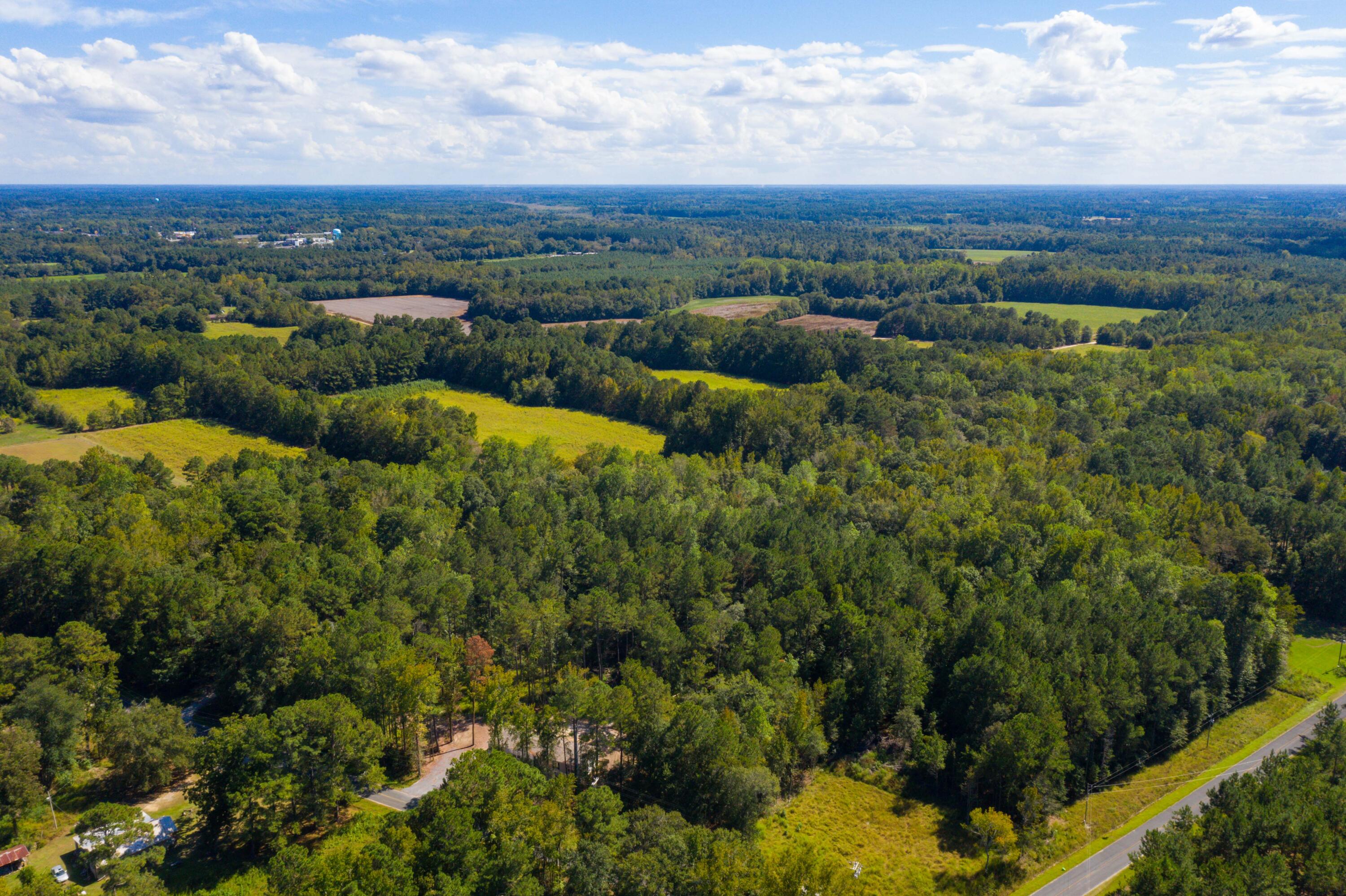 114 Leisure Street Reevesville, SC 29471 - Photo 43 of 58 DJI_0474