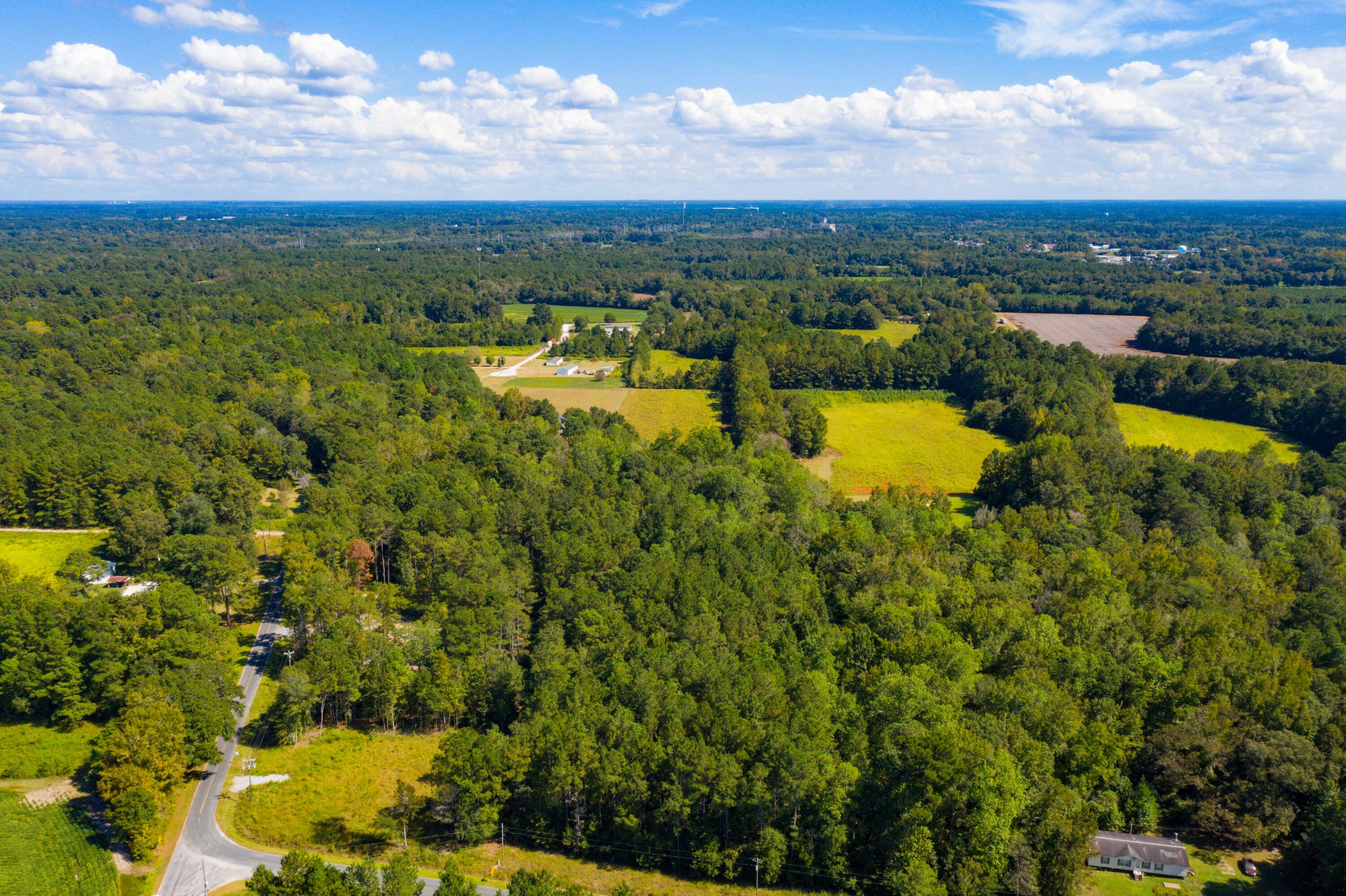 114 Leisure Street Reevesville, SC 29471 - Photo 44 of 58 DJI_0475