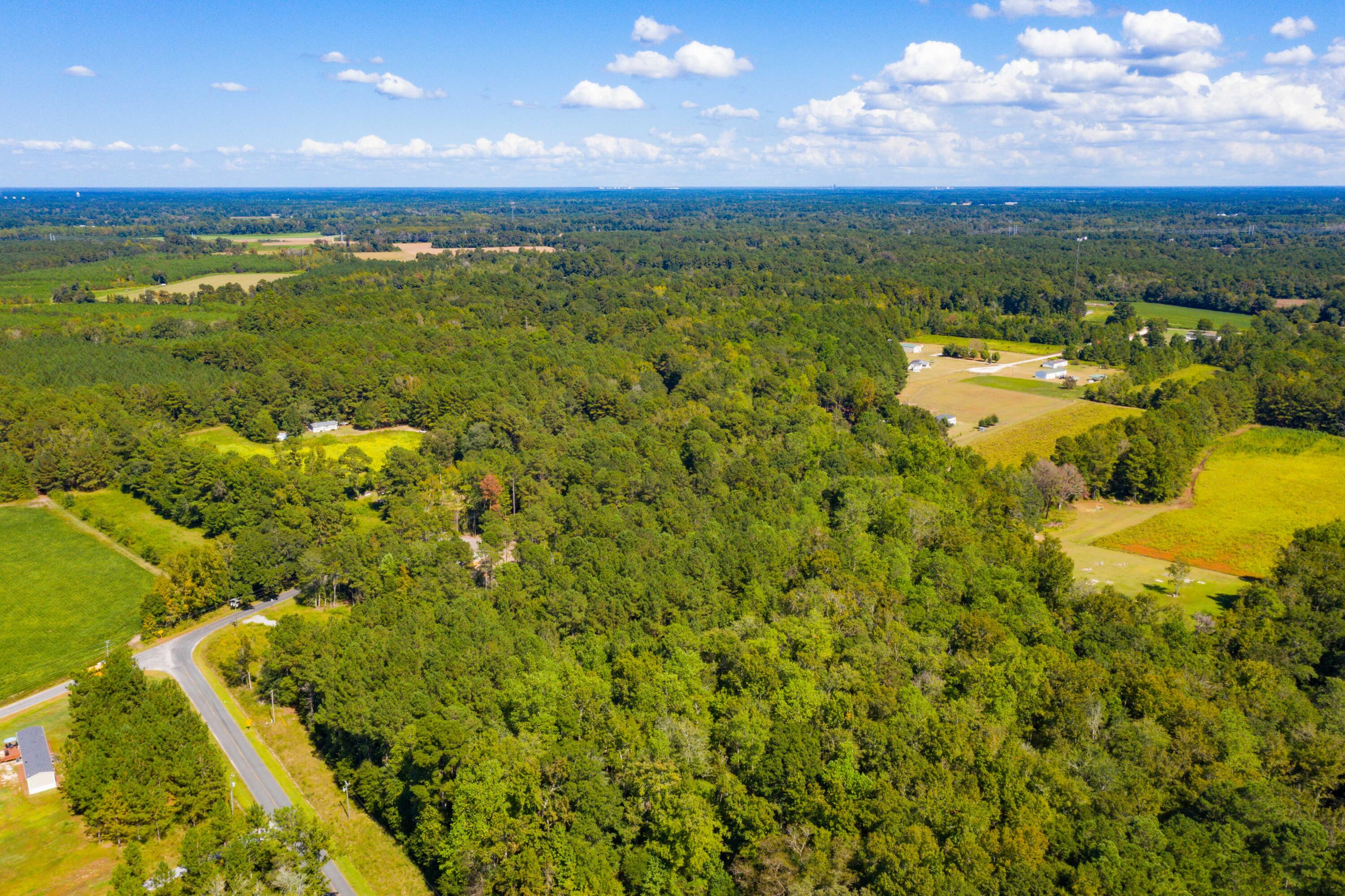 114 Leisure Street Reevesville, SC 29471 - Photo 45 of 58 DJI_0476