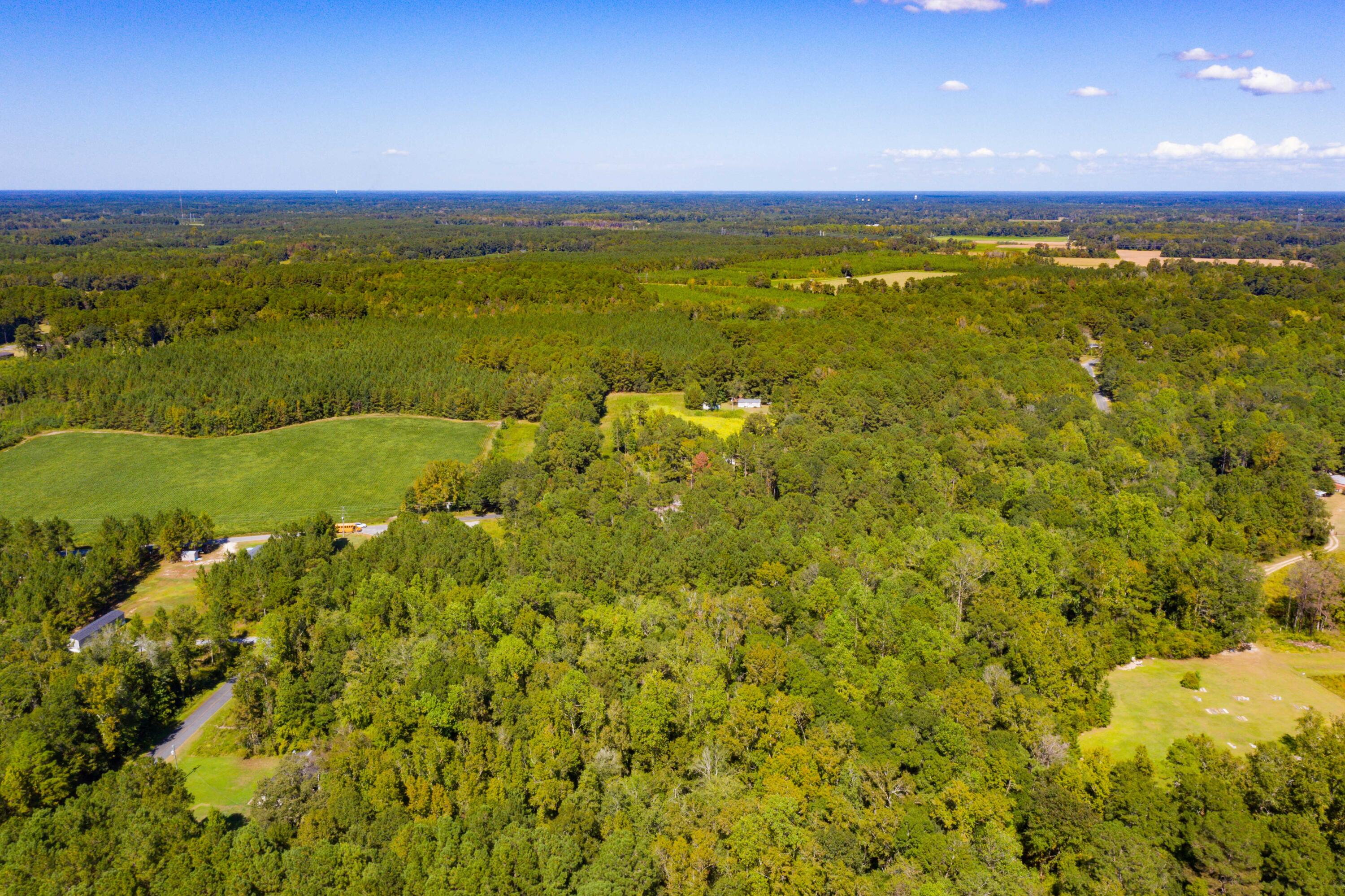 114 Leisure Street Reevesville, SC 29471 - Photo 46 of 58 DJI_0477