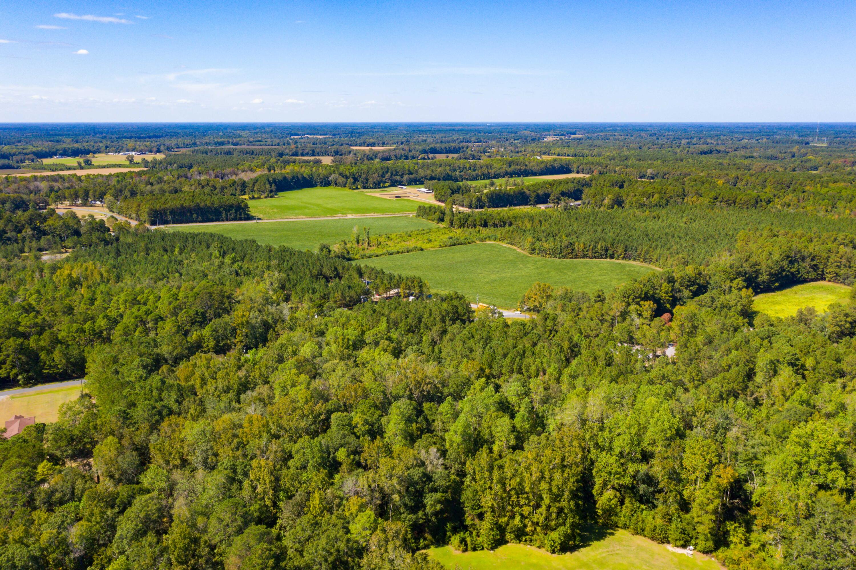 114 Leisure Street Reevesville, SC 29471 - Photo 47 of 58 DJI_0478