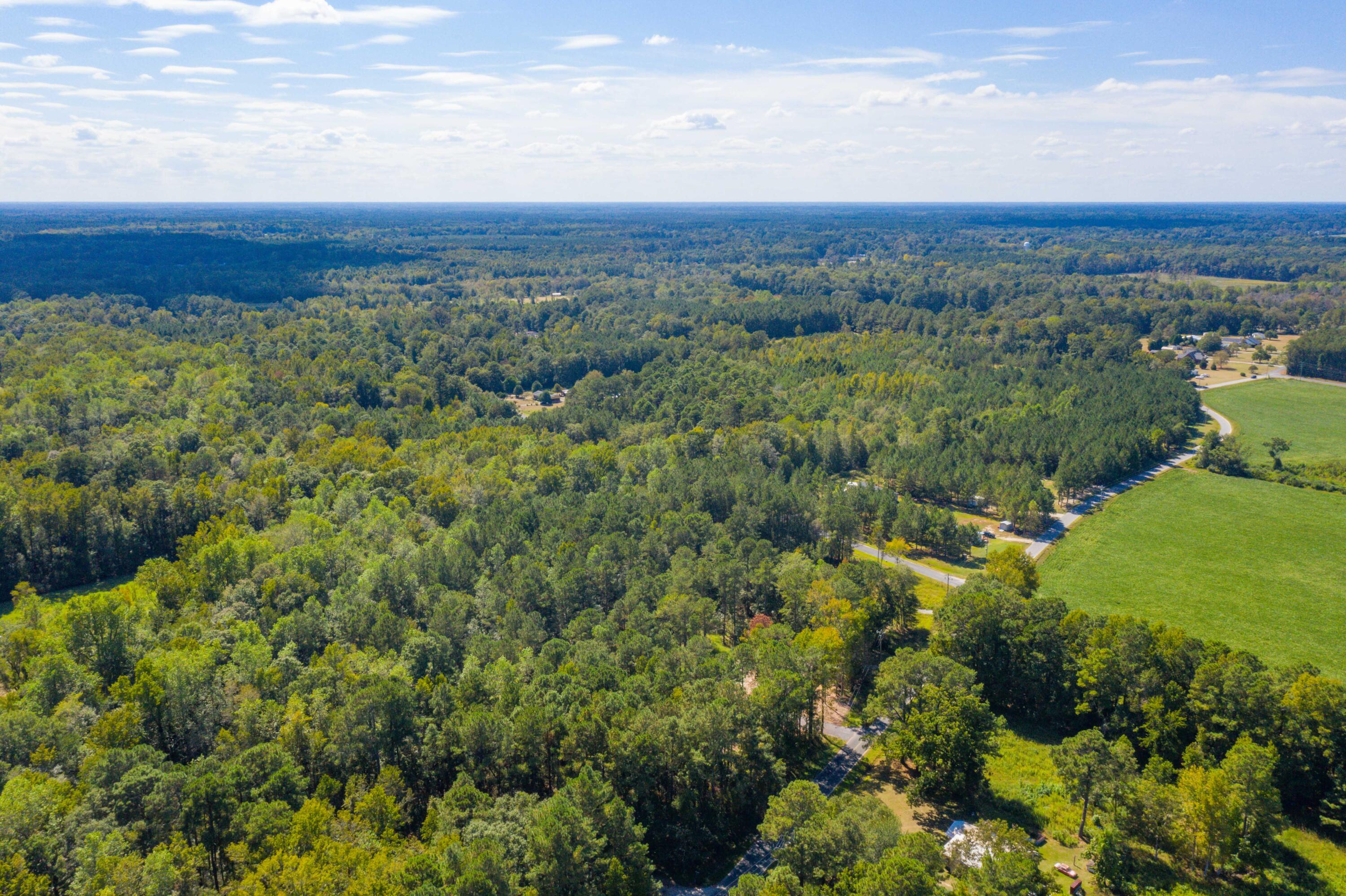 114 Leisure Street Reevesville, SC 29471 - Photo 50 of 58 DJI_0480