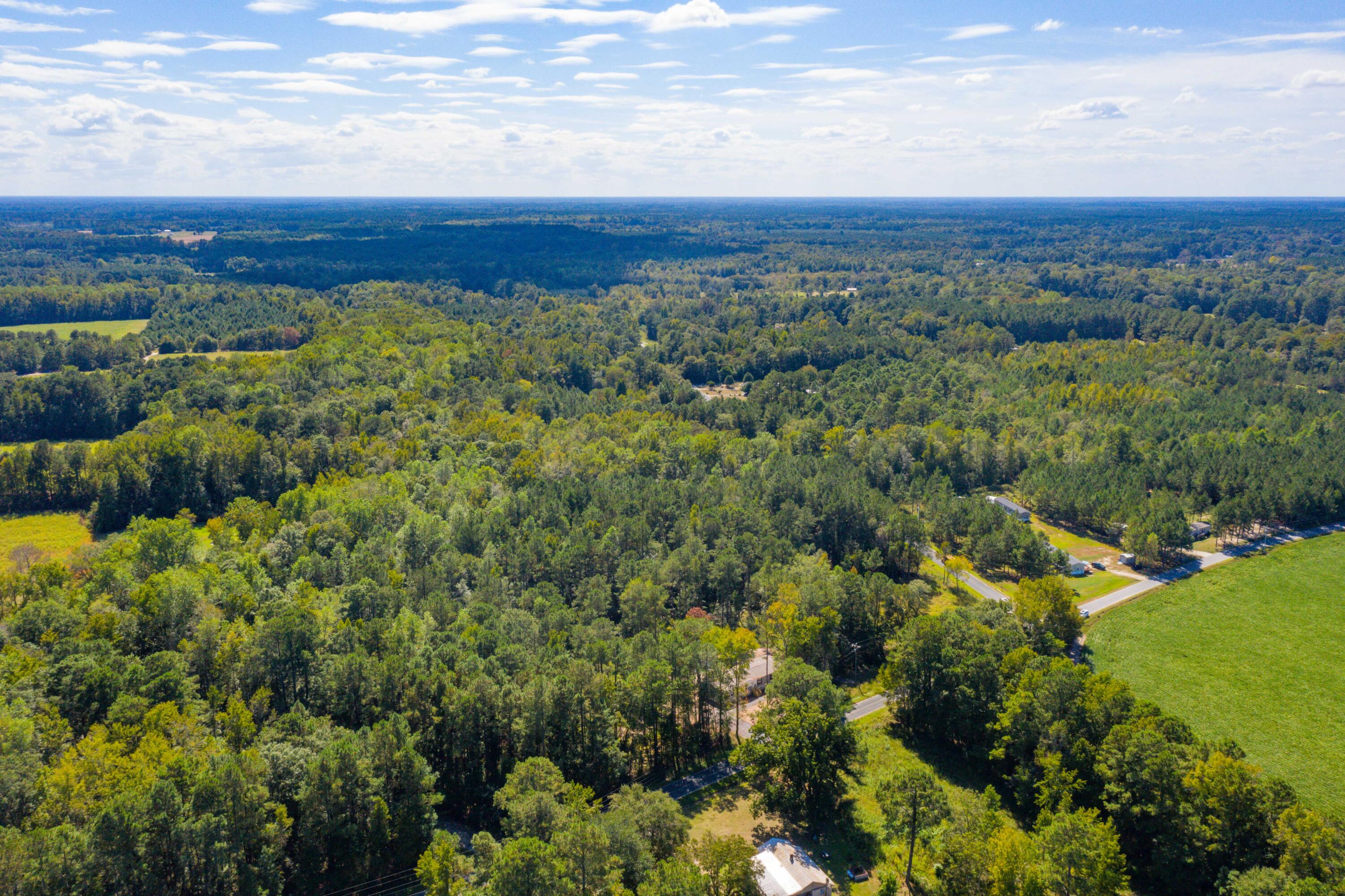 114 Leisure Street Reevesville, SC 29471 - Photo 51 of 58 DJI_0481