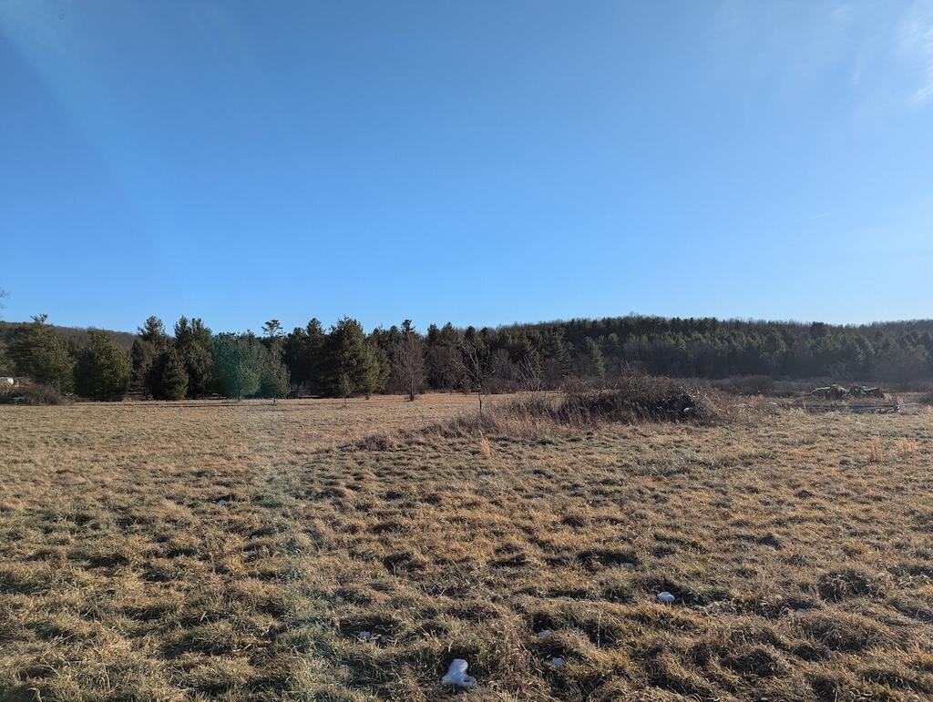 Tbd Firehouse Road Northwest Willis, VA 24380 - Photo 11 of 23 1 (10)