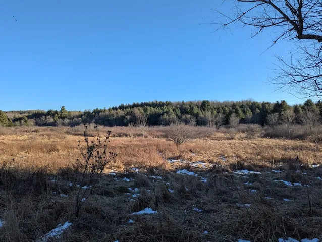 $229,900 | Tbd Firehouse Road Northwest, Willis, VA 24380