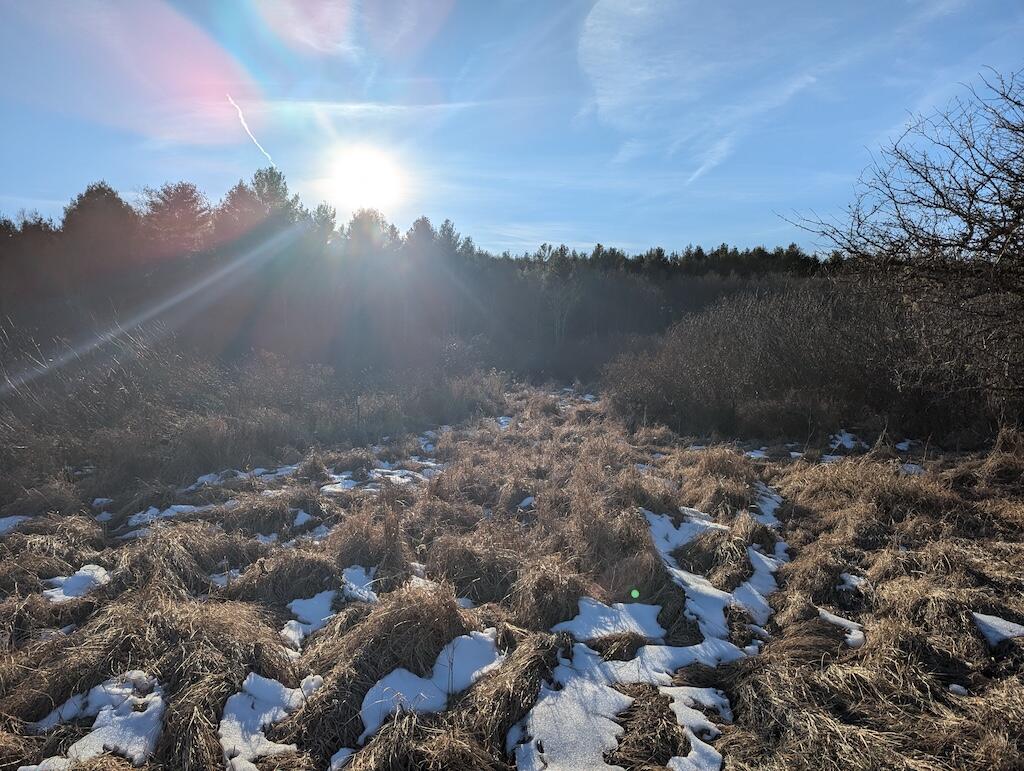 Tbd Firehouse Road Northwest Willis, VA 24380 - Photo 15 of 23 1 (16)