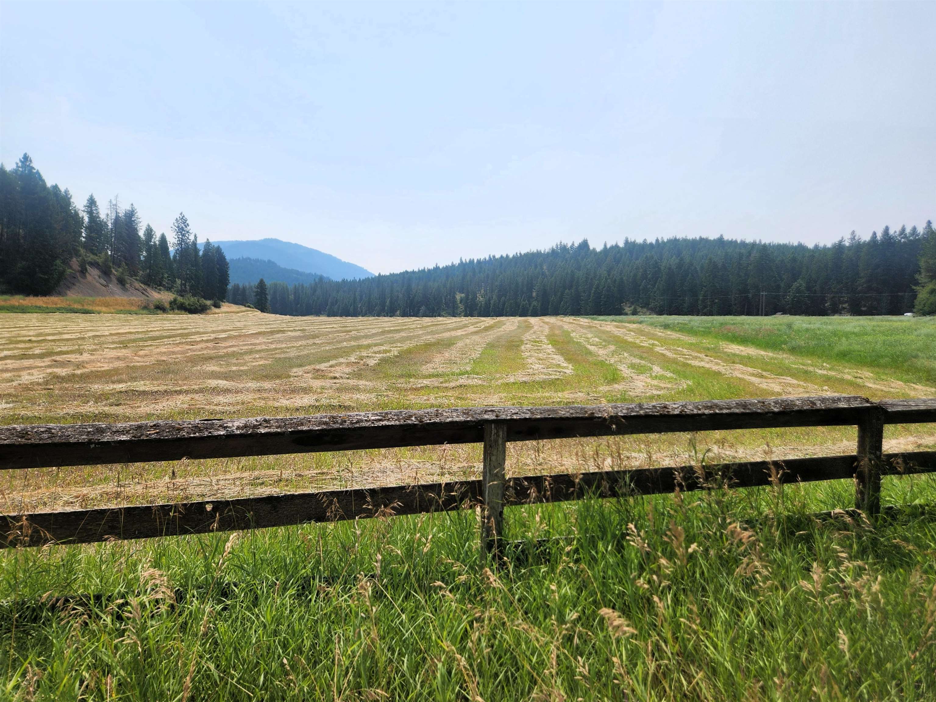 942 Basin Road Colville, WA 99114 - Photo 7 of 19