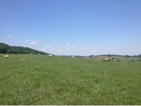 Tbd Henson Road Bristol, TN 37620 - Photo 3 of 6 Photo 3