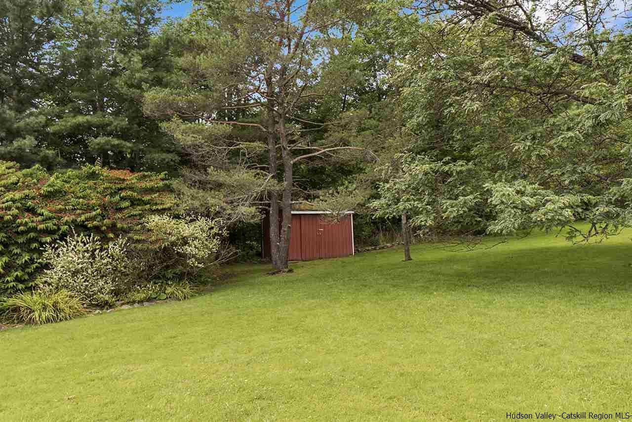 5999 Route 23c Route Prattsville, NY 12468 - Photo 30 of 31 a view of a yard with a tree