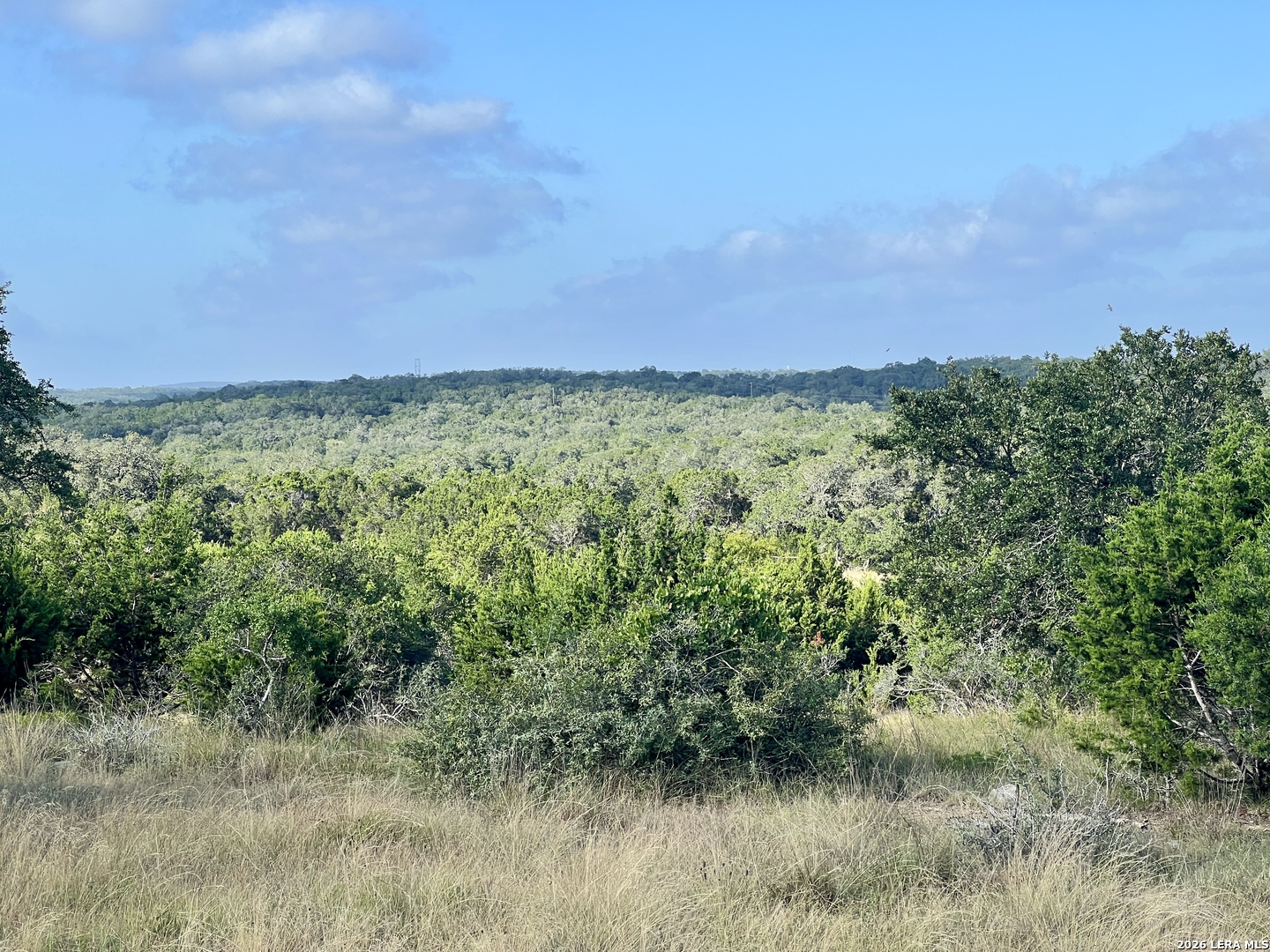 406 Plantation Path Boerne, TX 78006 - Photo 11 of 21