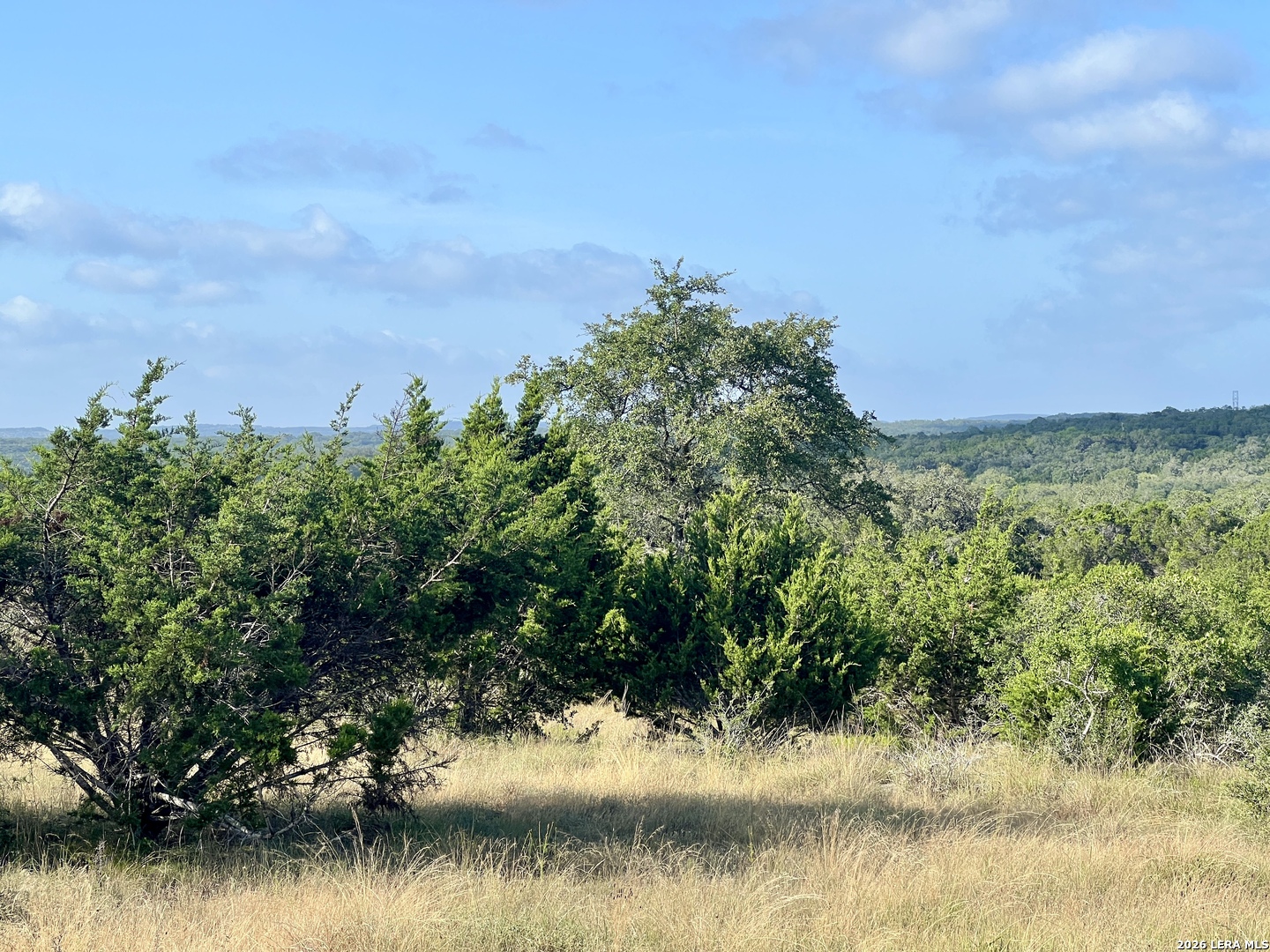 406 Plantation Path Boerne, TX 78006 - Photo 12 of 21