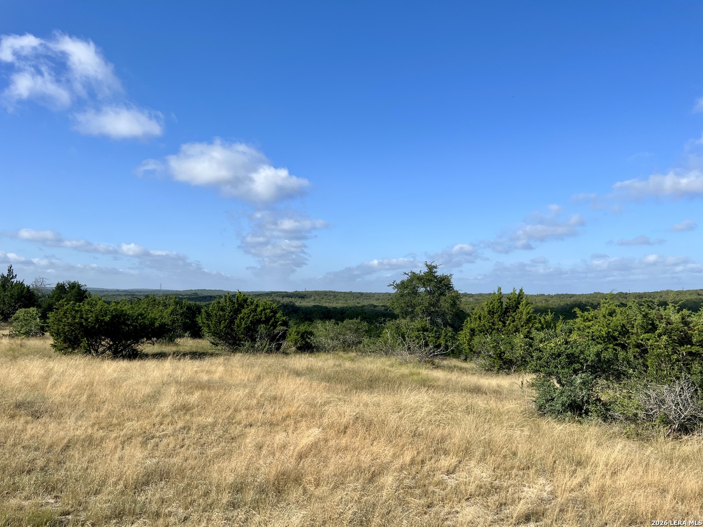 406 Plantation Path Boerne, TX 78006 - Photo 15 of 21