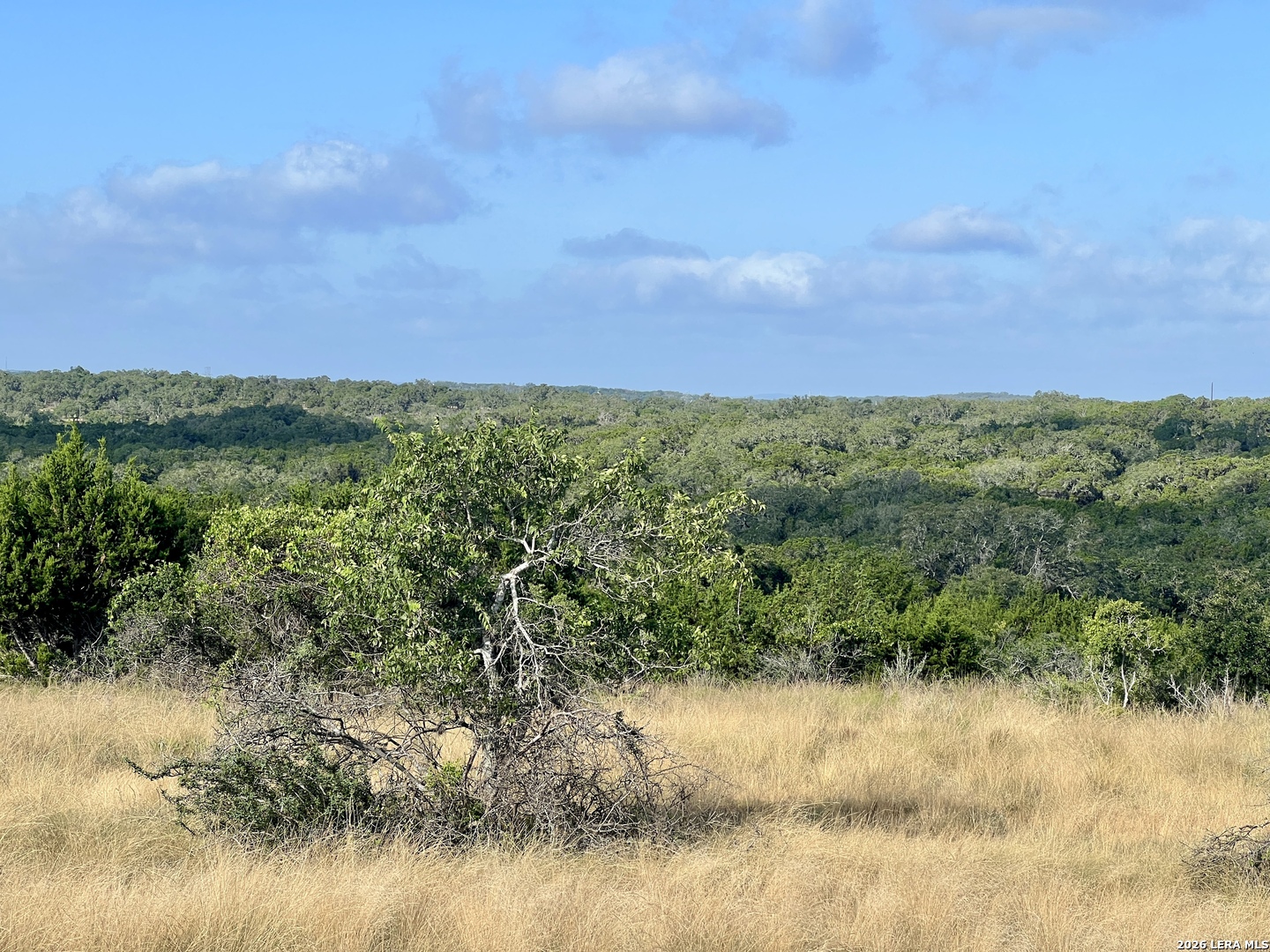 406 Plantation Path Boerne, TX 78006 - Photo 6 of 21