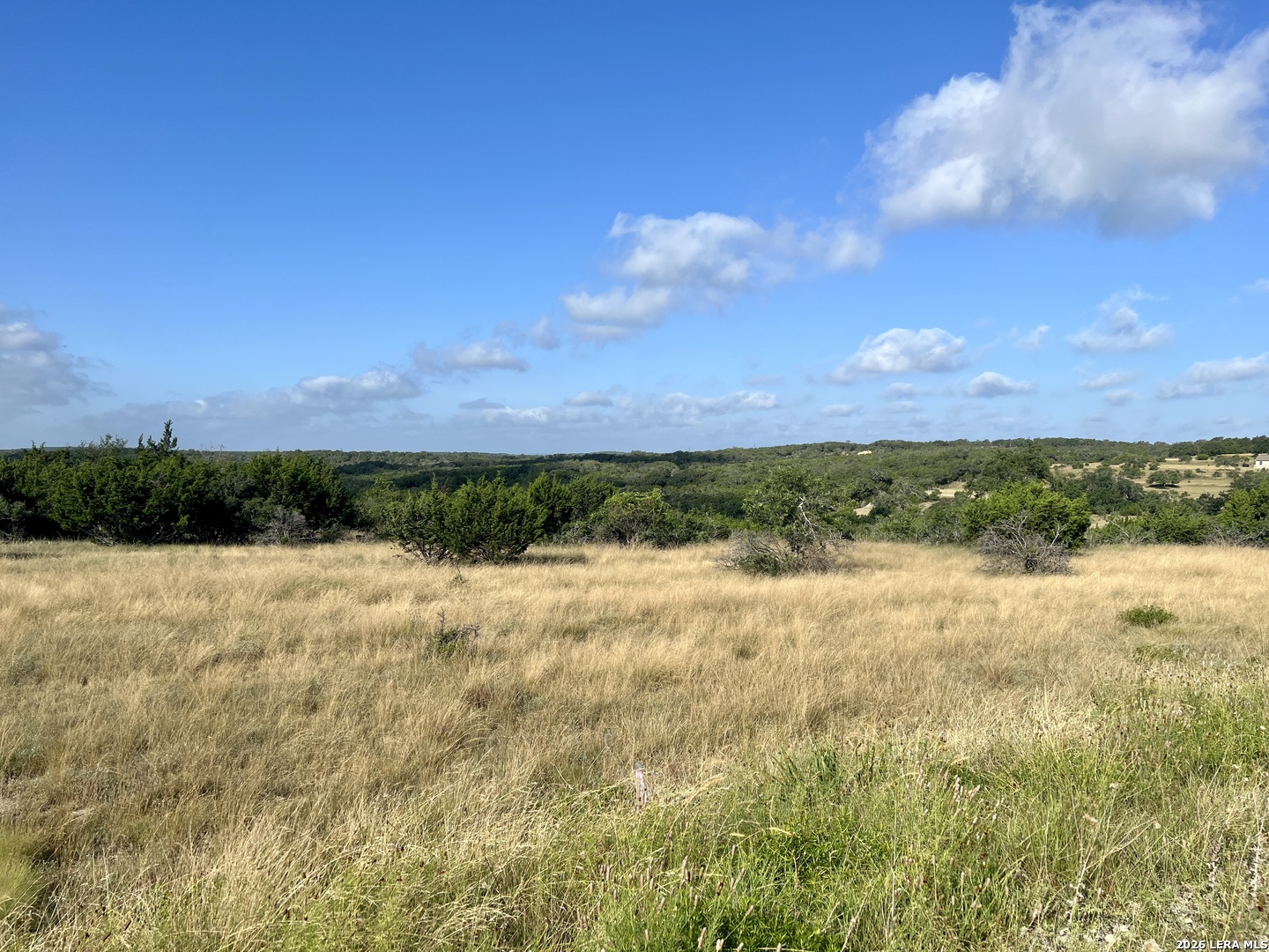 406 Plantation Path Boerne, TX 78006 - Photo 7 of 21