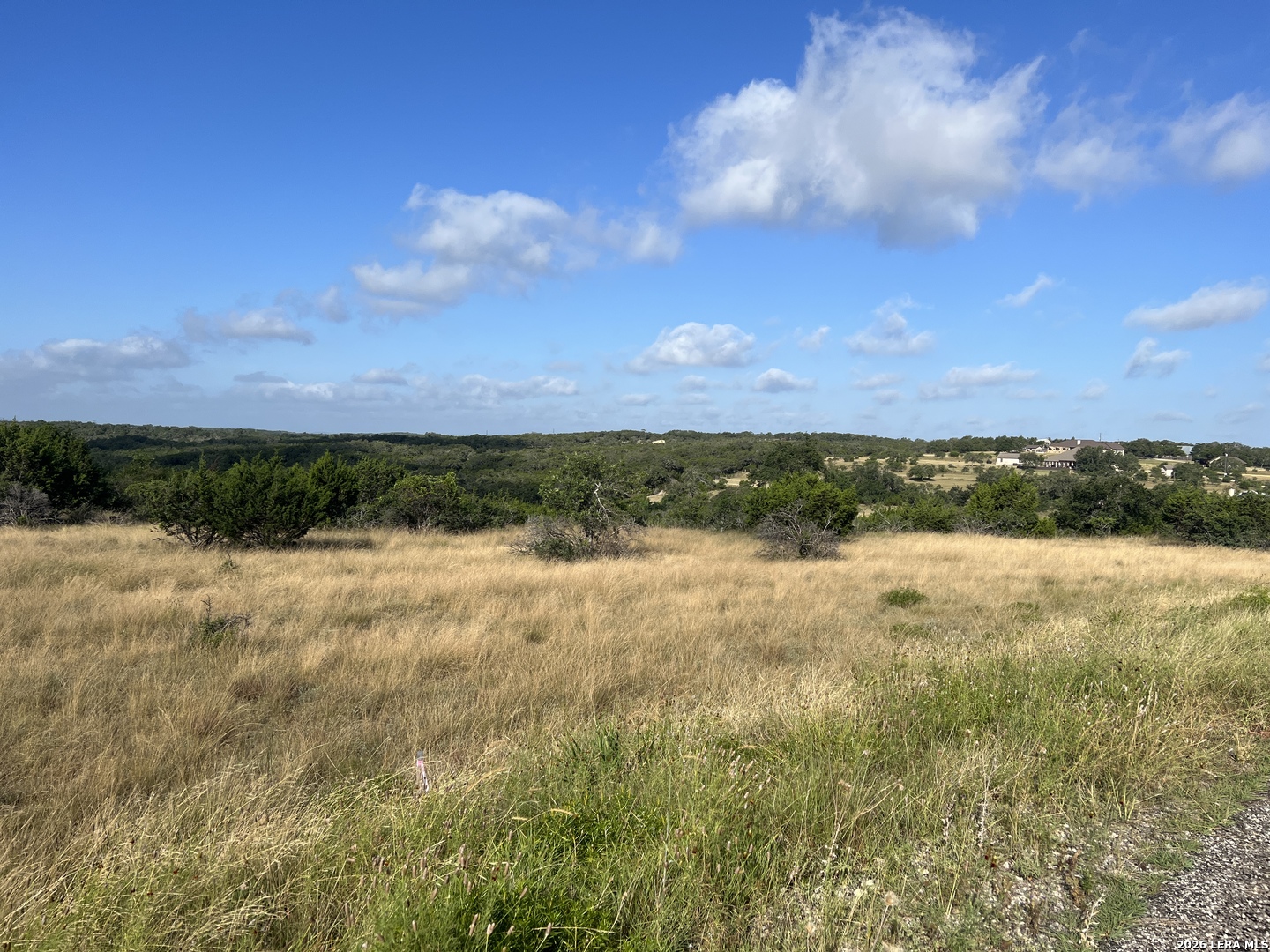 406 Plantation Path Boerne, TX 78006 - Photo 8 of 21