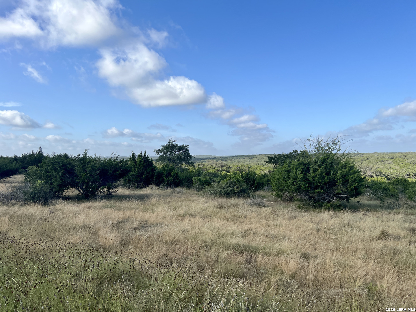 406 Plantation Path Boerne, TX 78006 - Photo 9 of 21