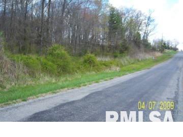 Tbd Parrish Road Thompsonville, IL 62890 - Photo 5 of 7