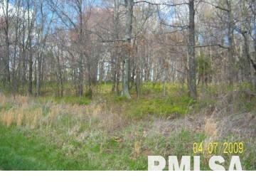 Tbd Parrish Road Thompsonville, IL 62890 - Photo 7 of 7