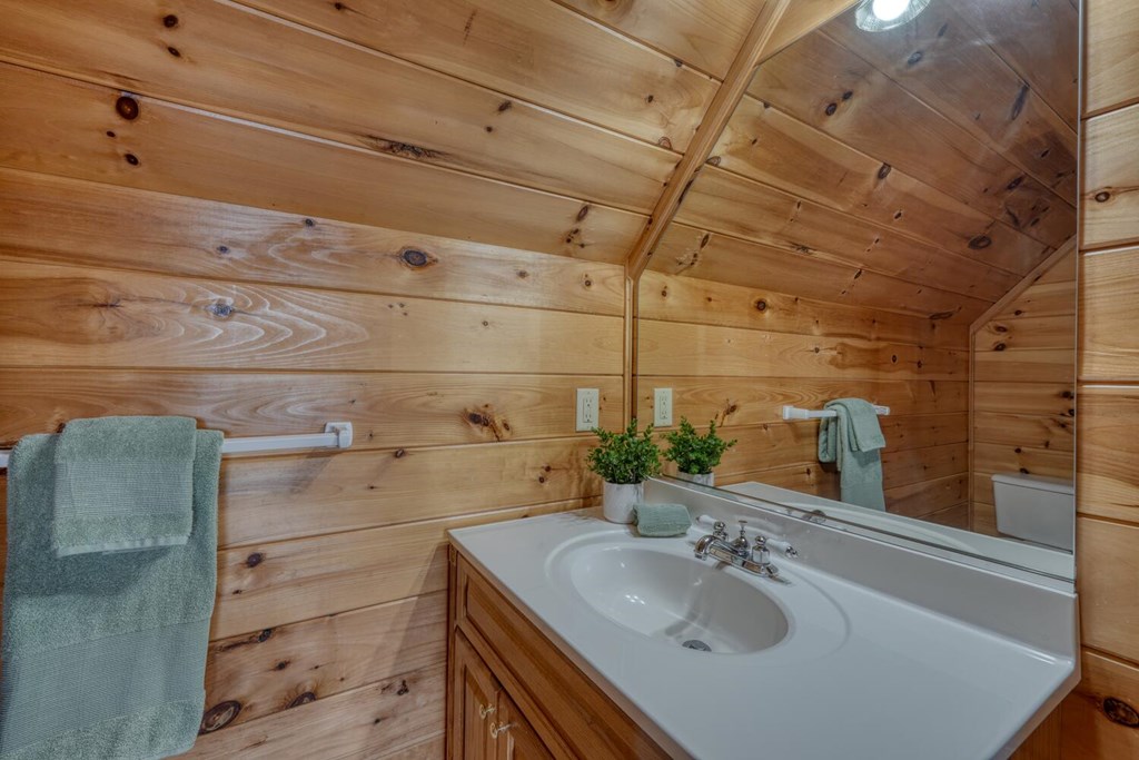 95 Scenic Ridge Road Blue Ridge, GA 30513 - Photo 38 of 48