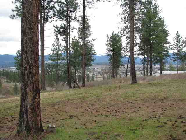 6930 North Harvard Road Newman Lake, WA 99025 - Photo 4 of 9 Gallery Image 4