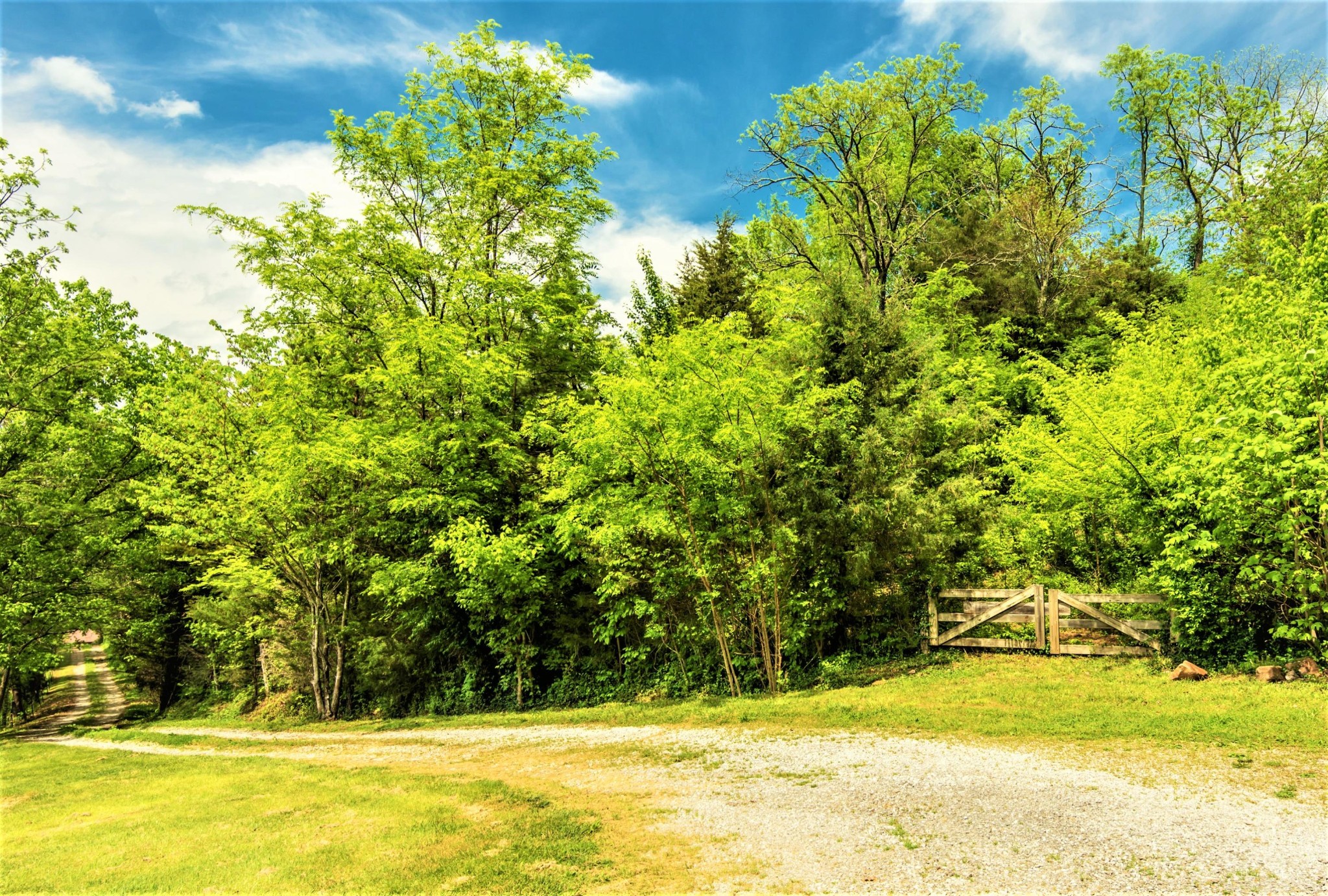 8624 Bud Hawkins Road Corryton, TN 37721 - Photo 3 of 27