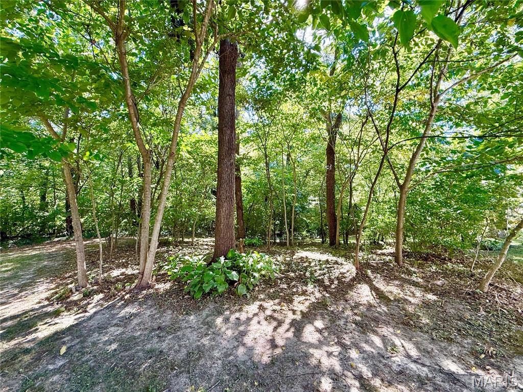 7404 Brown Street Moro, IL 62067 - Photo 35 of 41