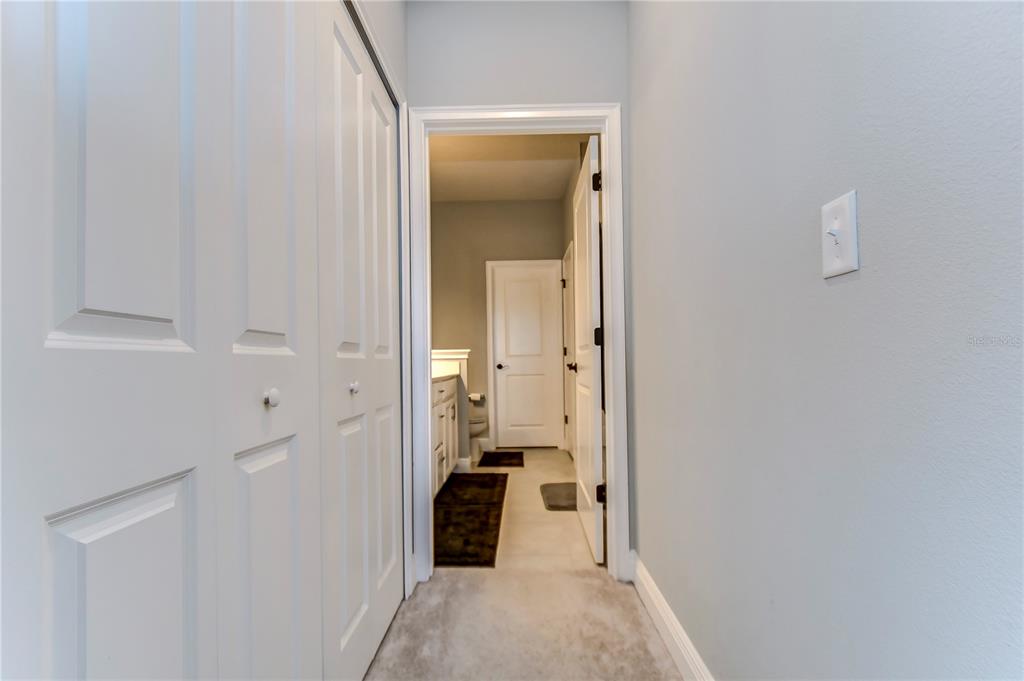 2938 Rambler Ivy Loop Brandon, FL 33510 - Photo 42 of 66