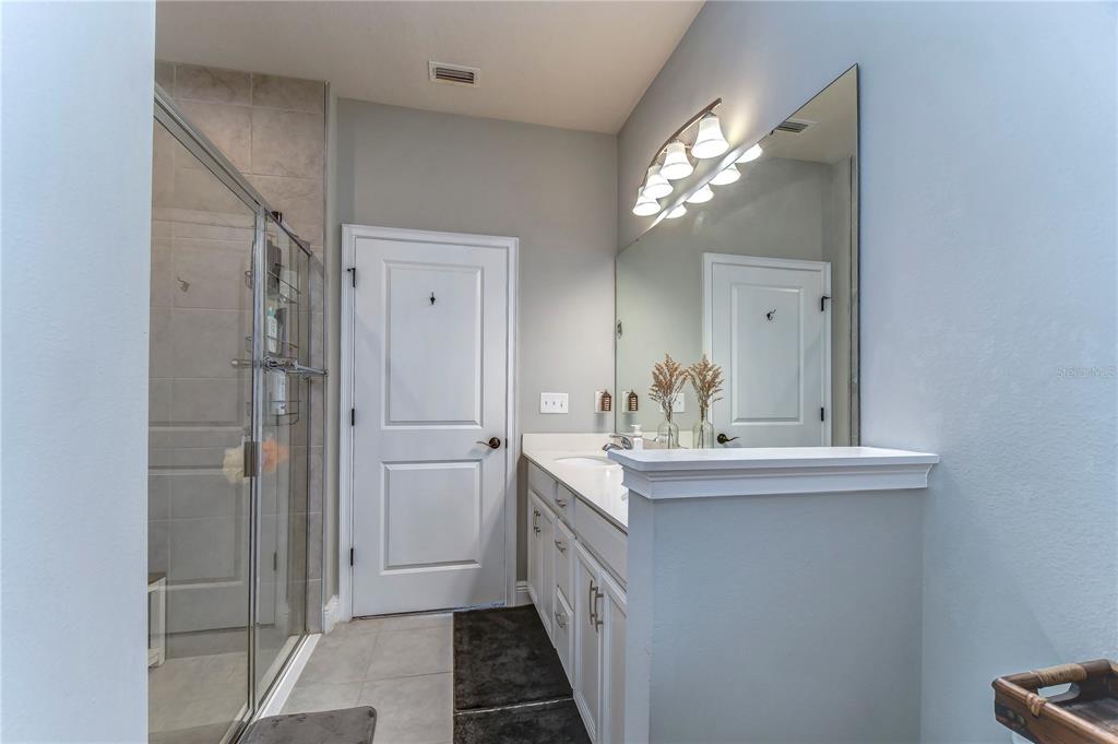 2938 Rambler Ivy Loop Brandon, FL 33510 - Photo 45 of 66