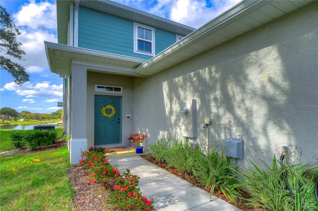 2938 Rambler Ivy Loop Brandon, FL 33510 - Photo 5 of 66