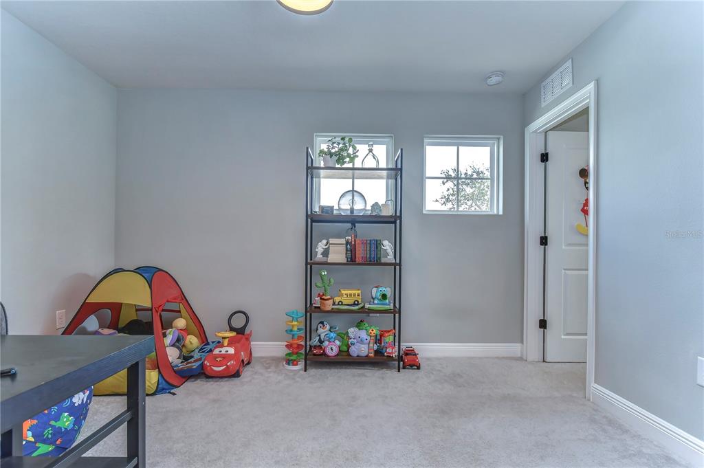 2938 Rambler Ivy Loop Brandon, FL 33510 - Photo 51 of 66