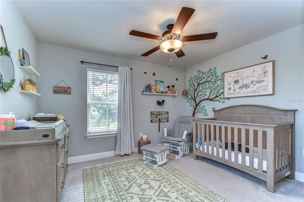 2938 Rambler Ivy Loop Brandon, FL 33510 - Photo 53 of 66