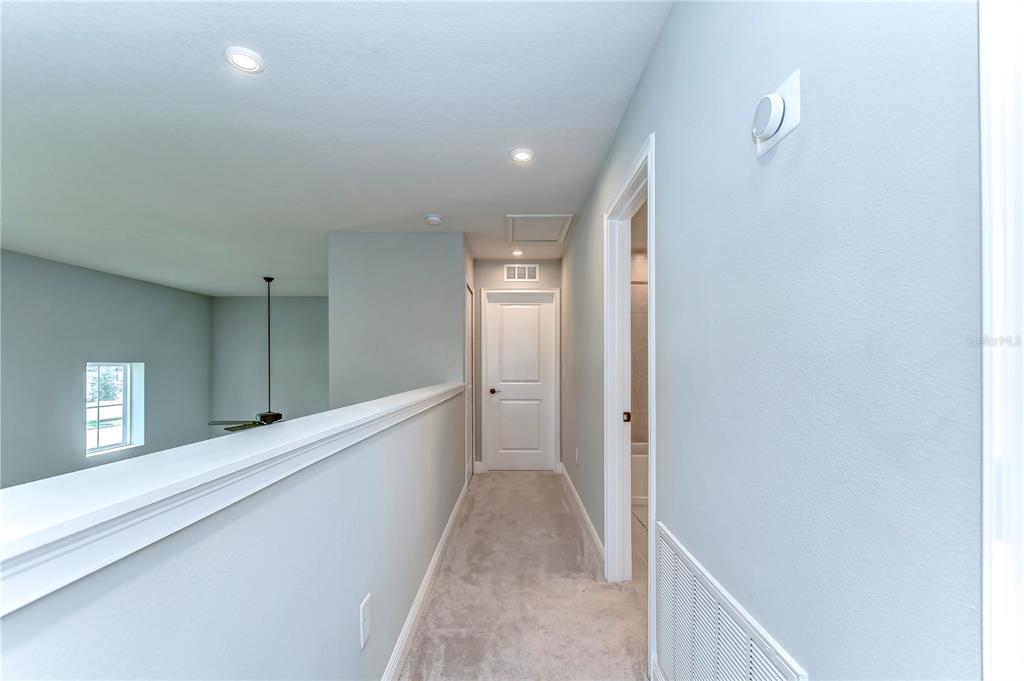 2938 Rambler Ivy Loop Brandon, FL 33510 - Photo 54 of 66