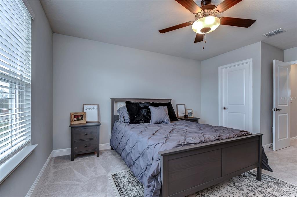 2938 Rambler Ivy Loop Brandon, FL 33510 - Photo 59 of 66