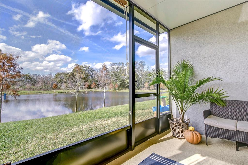 2938 Rambler Ivy Loop Brandon, FL 33510 - Photo 62 of 66