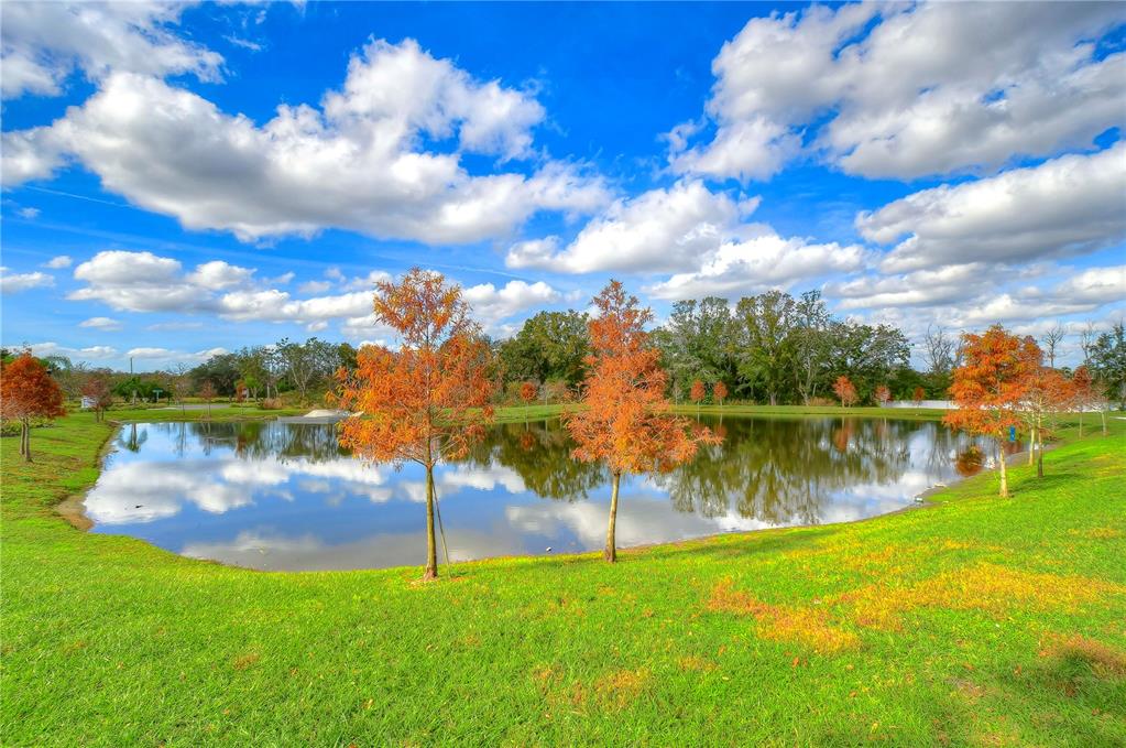 2938 Rambler Ivy Loop Brandon, FL 33510 - Photo 64 of 66