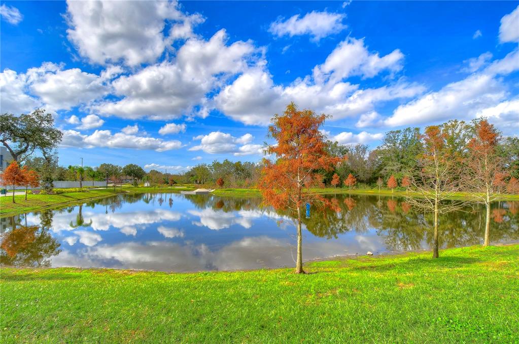 2938 Rambler Ivy Loop Brandon, FL 33510 - Photo 65 of 66