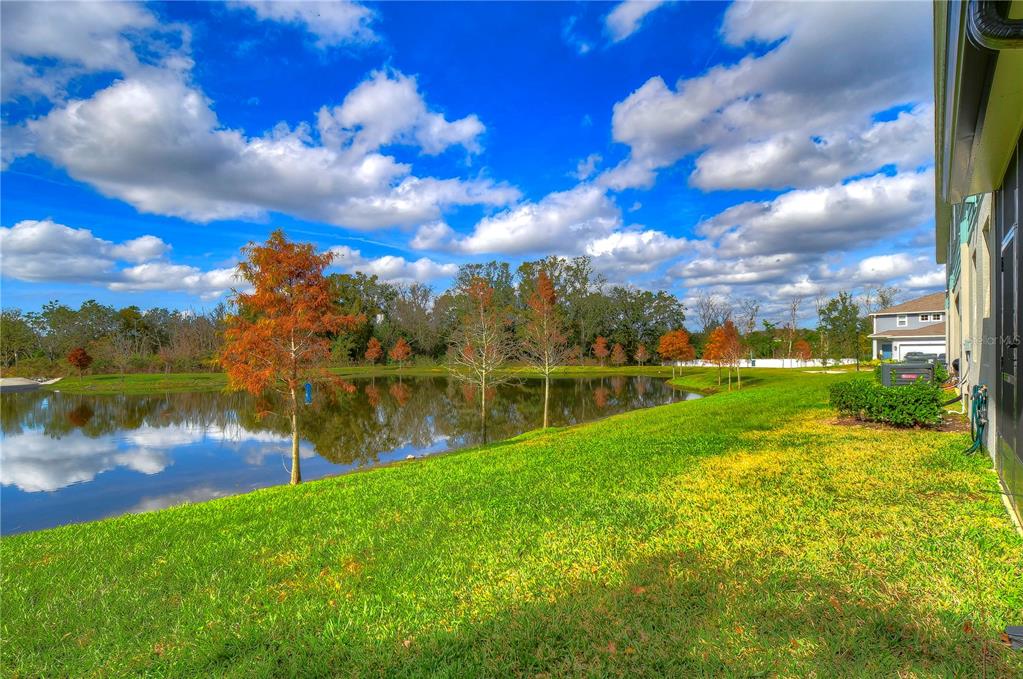 2938 Rambler Ivy Loop Brandon, FL 33510 - Photo 66 of 66