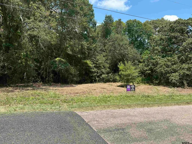 $120,000 | Tbd Tbd Sanbox, Athens, TX 75751