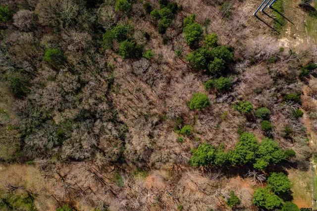 $120,000 | Tbd Tbd Sanbox, Athens, TX 75751