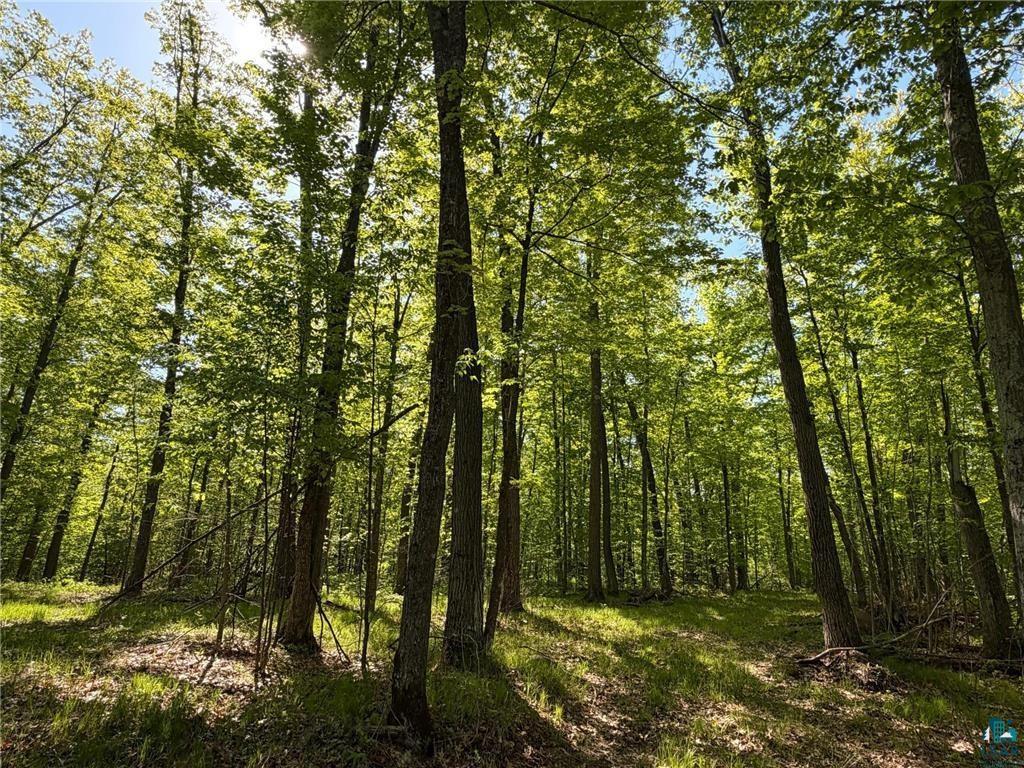 54003 Dollar Lake Road Sandstone, MN 55072 - Photo 23 of 40