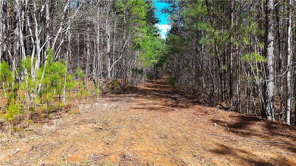 8 Windridge Lane Temple, GA 30179 - Photo 24 of 24 a view of a yard with trees