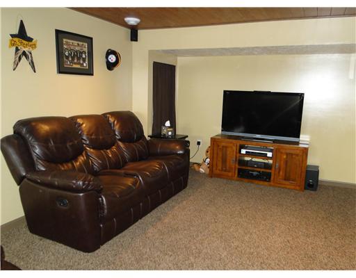 440 McElree Road Washington, PA 15301 - Photo 13 of 18 Family Room. Lower Level