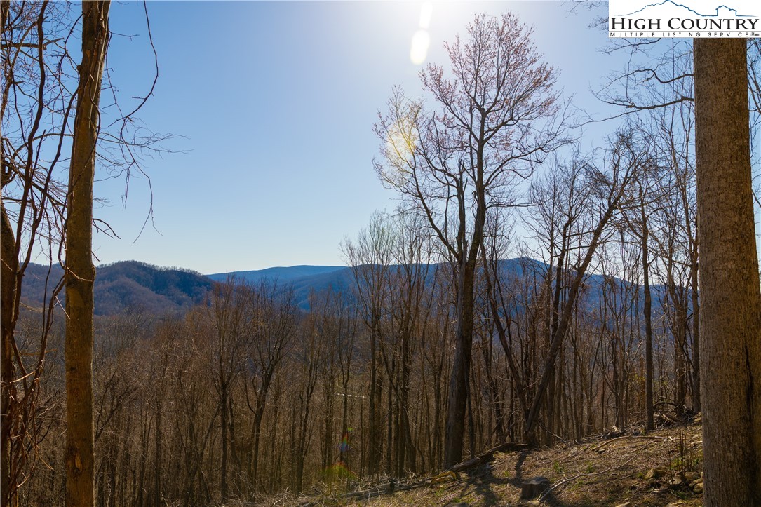 Lot 94 Bear Paw Road Elk Park, NC 28622 - Photo 11 of 13